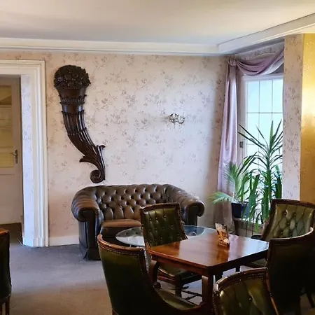 Historisches Zum Schwan 巴特卡尔斯哈芬