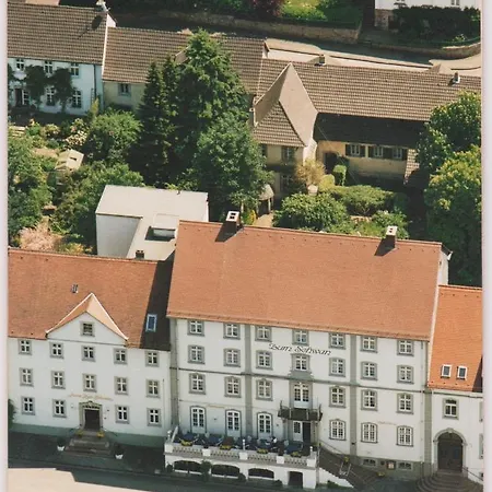 Historisches Zum Schwan 酒店 3*