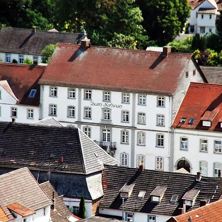 فندق Historisches Zum Schwan 3*