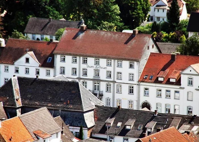 Hotel Historisches Zum Schwan 3*